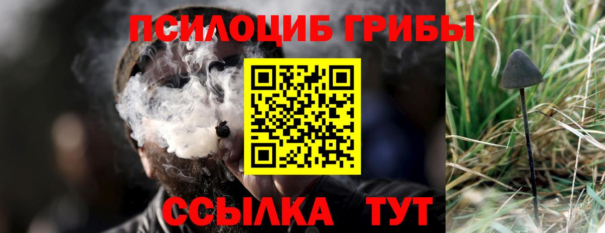 цена   Псилоцибиновые грибы GOLDEN TEACHER  Вход с VPN  Мелеуз 